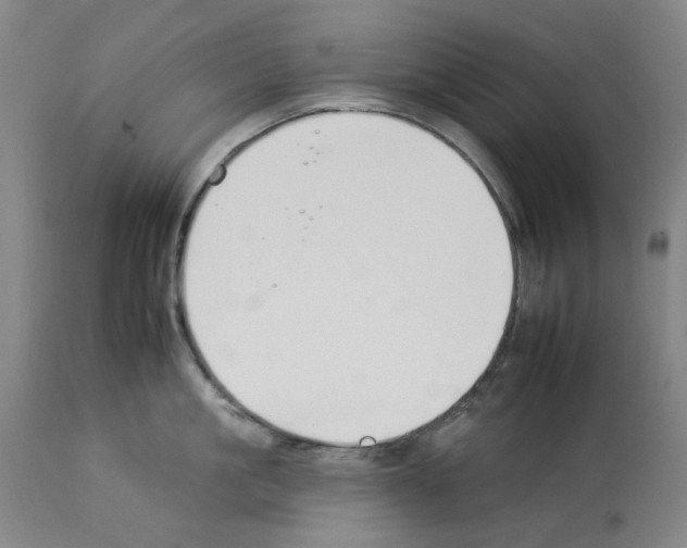X0000112930861200910051130