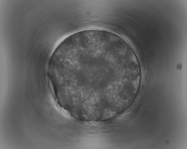 X0000112930862200910051130