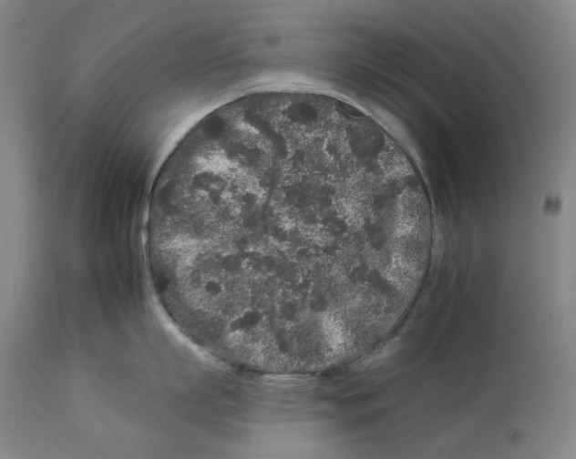 X0000112930863200910051130