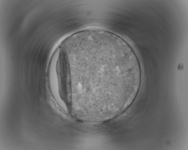 X0000112930864200910051130