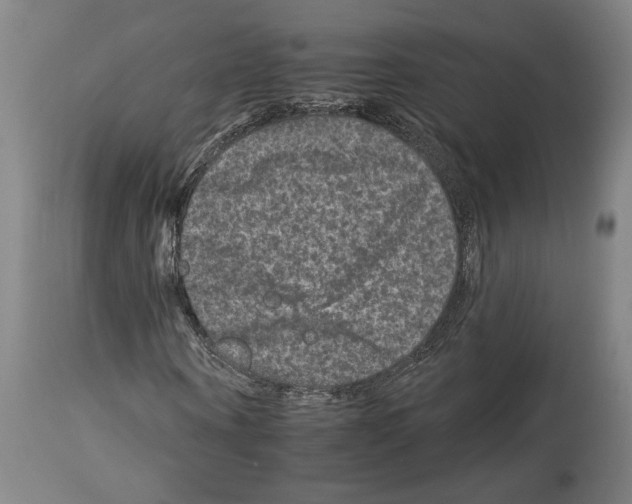 X0000112930866200910051129