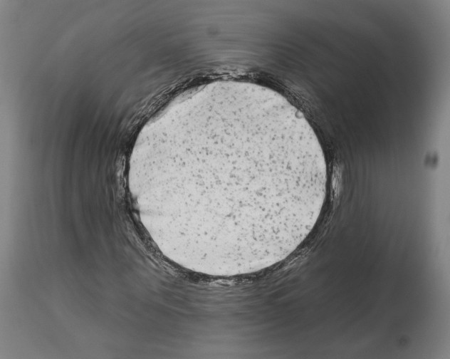 X0000112930867200910051129