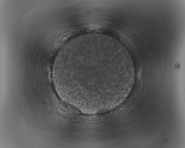 X0000112930868200910051129