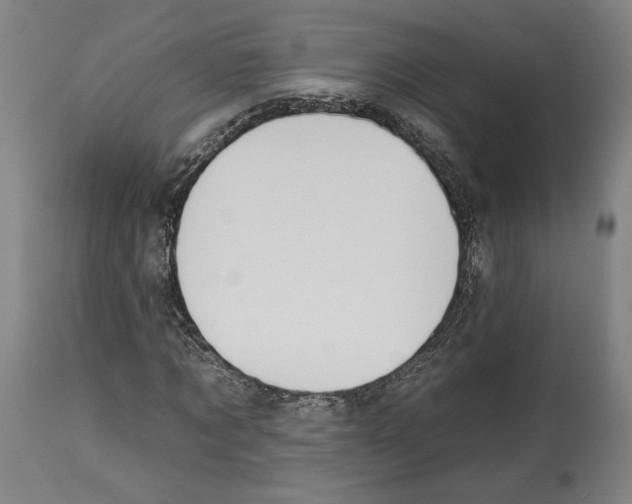 X0000112930869200910051129