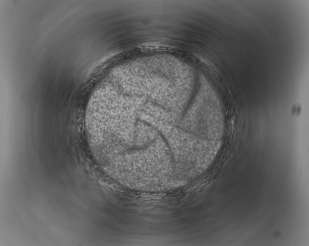 X0000112930870200910051129