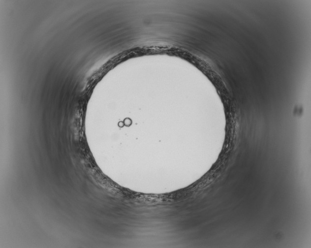 X0000112930871200910051129