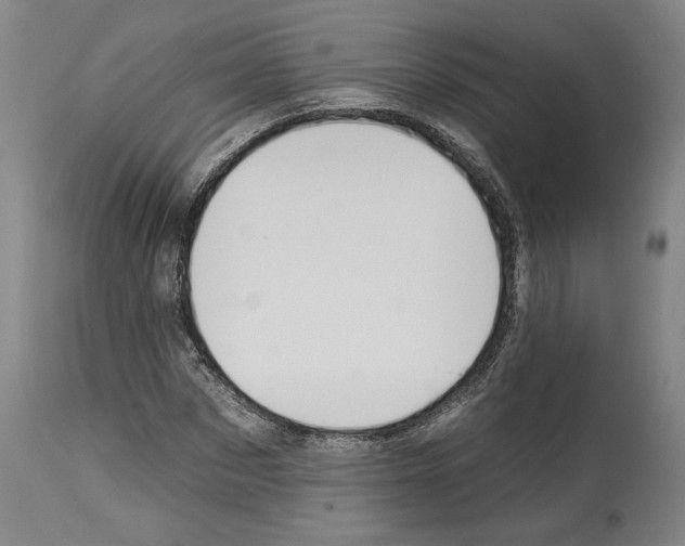 X0000112930873200910051129