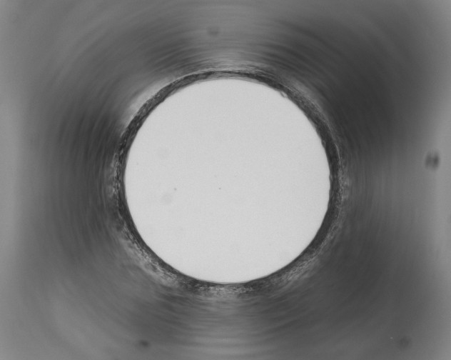 X0000112930875200910051129