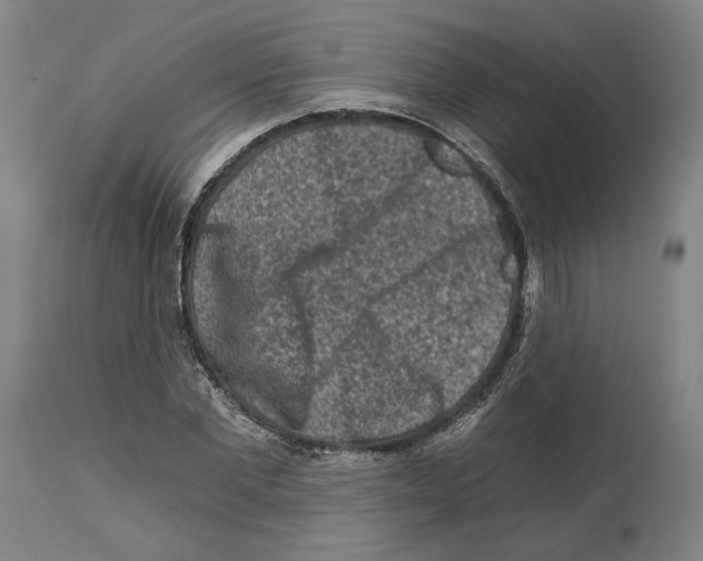 X0000112930877200910051129