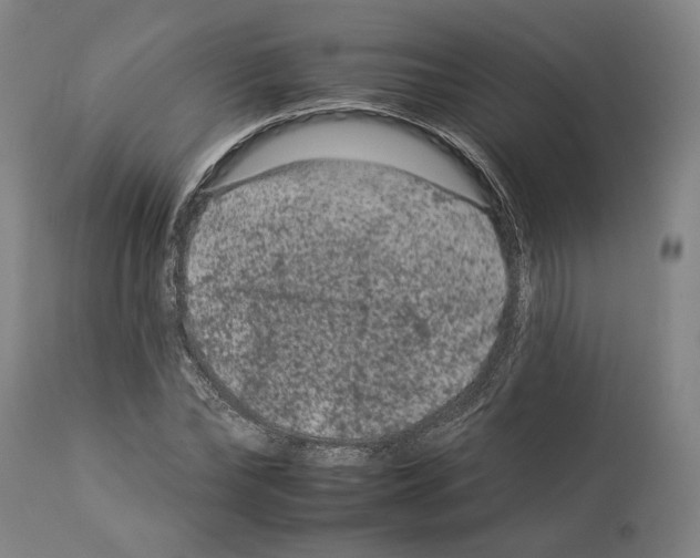 X0000112930878200910051129