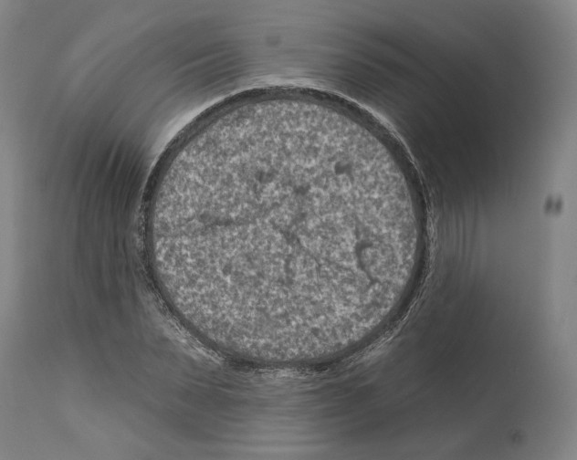 X0000112930879200910051129