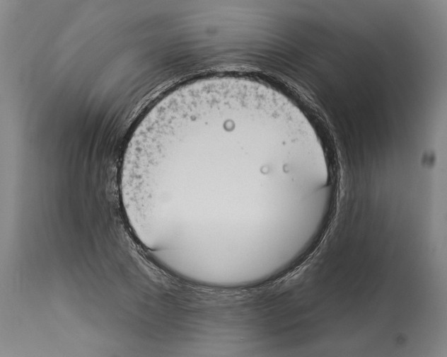 X0000112930881200910051129