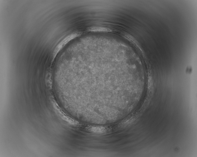 X0000112930882200910051129