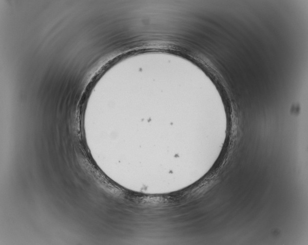 X0000112930883200910051129