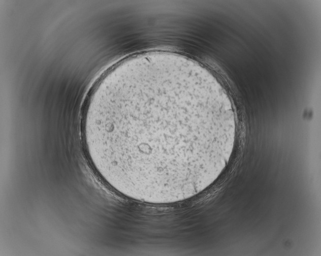 X0000112930884200910051129
