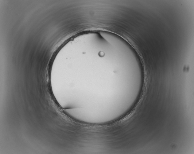 X0000112930885200910051129