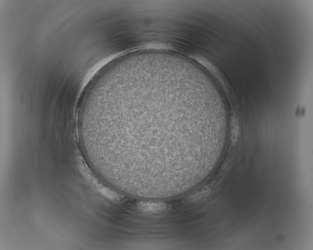 X0000112930886200910051129