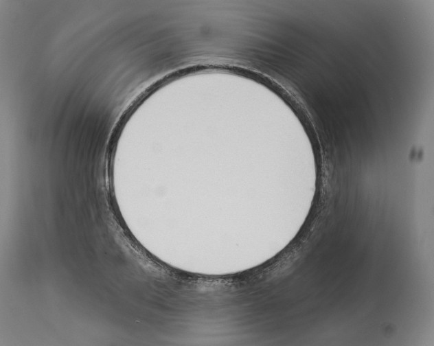 X0000112930887200910051129