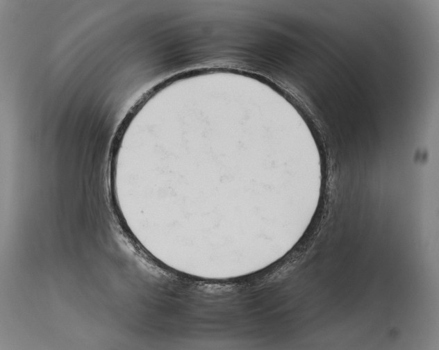X0000112930888200910051129