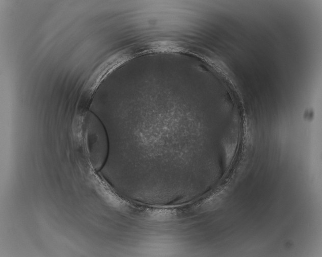X0000112930889200910051129