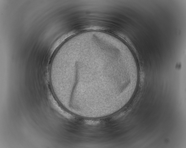 X0000112930890200910051129