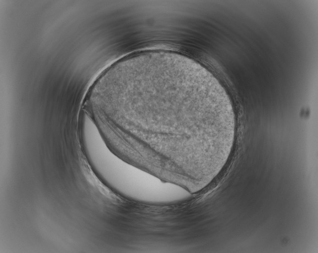 X0000112930892200910051129