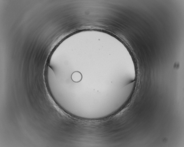 X0000112930893200910051129