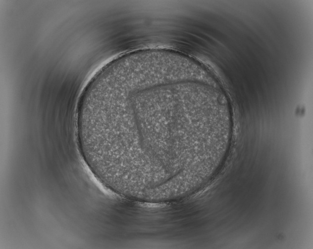X0000112930894200910051129