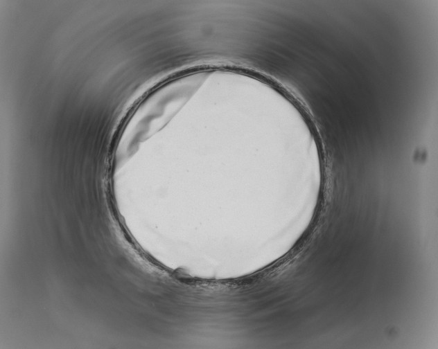 X0000112930895200910051129