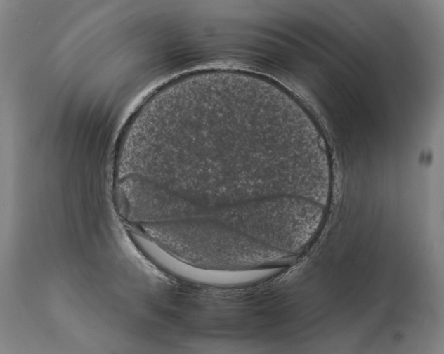 X0000112930896200910051129