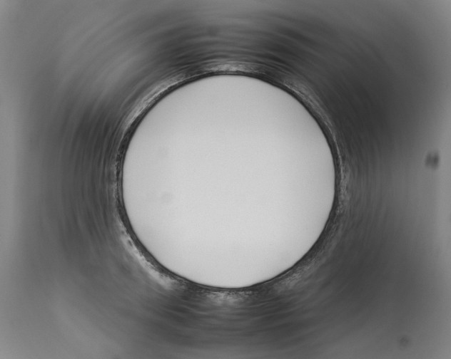 X0000112930898200910051129