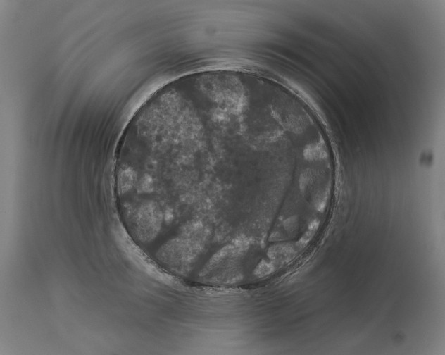 X0000112930899200910051129