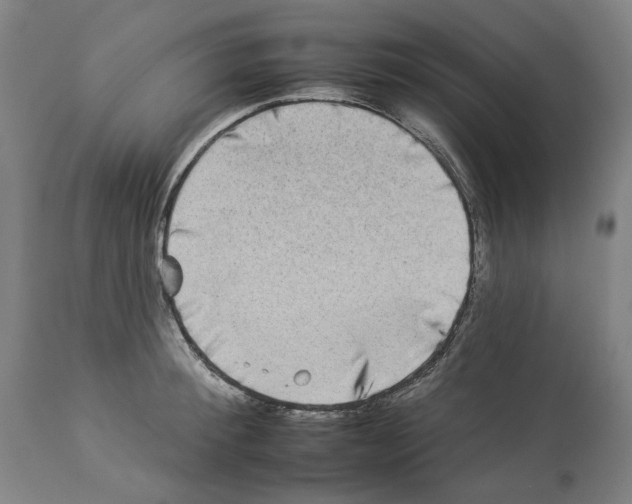 X0000112930900200910051129
