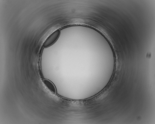 X0000112930901200910051129