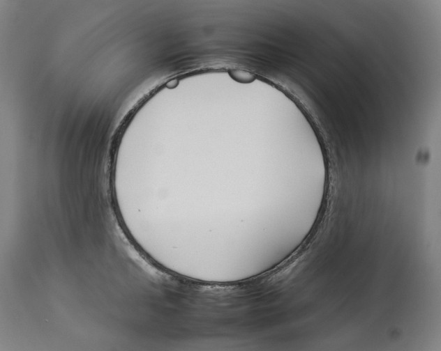 X0000112930902200910051129