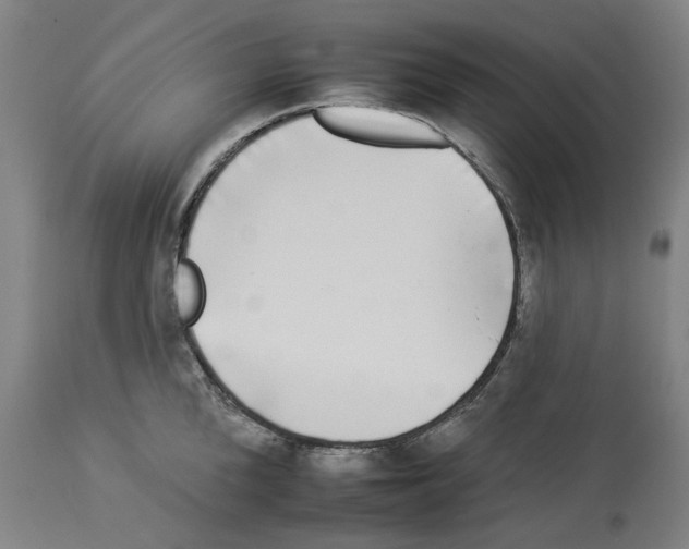 X0000112930904200910051129