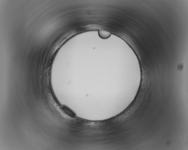 X0000112930906200910051128