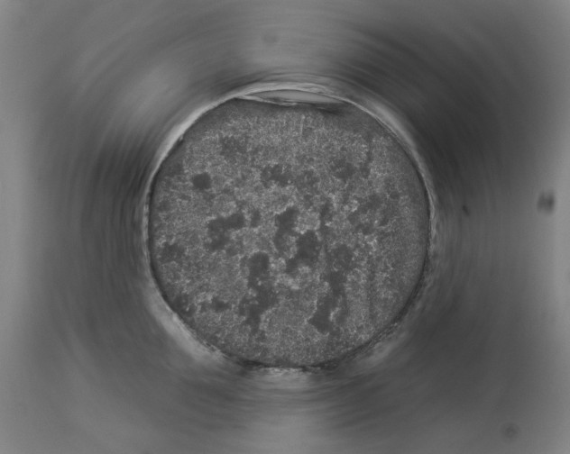 X0000112930907200910051128