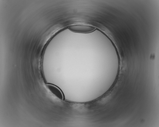 X0000112930909200910051128