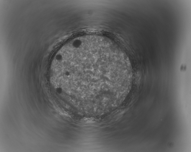 X0000112930913200910051128