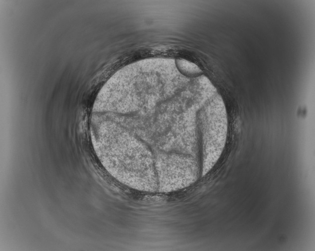 X0000112930914200910051128
