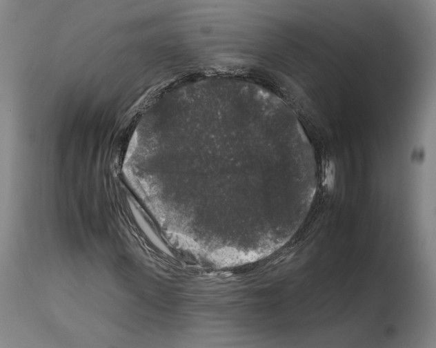 X0000112930915200910051128
