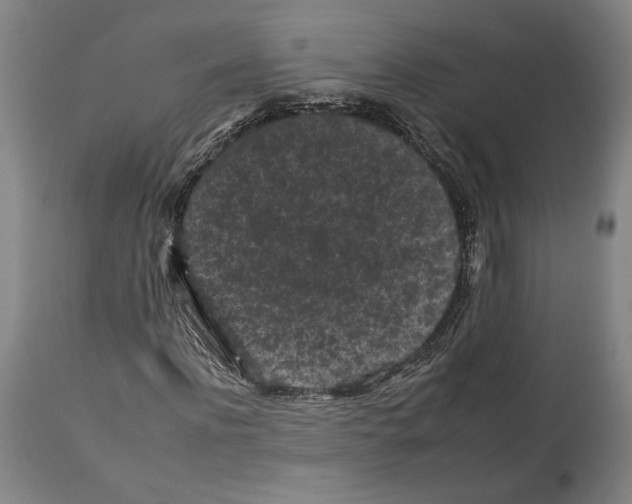 X0000112930916200910051128