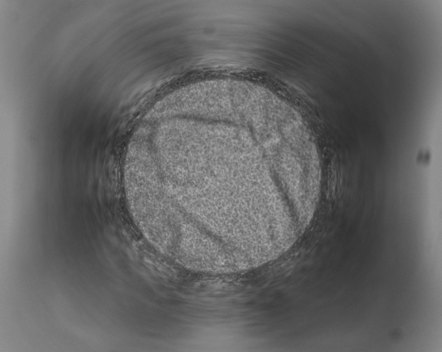 X0000112930917200910051128