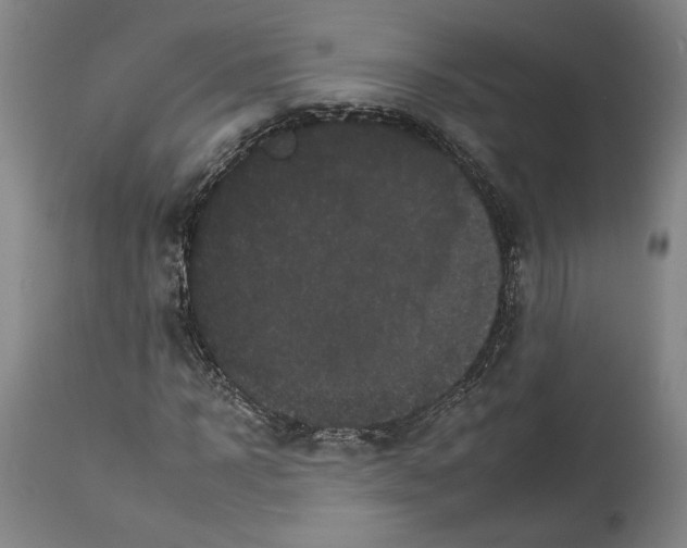 X0000112930918200910051128