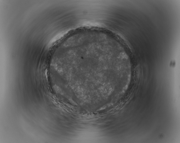 X0000112930919200910051128