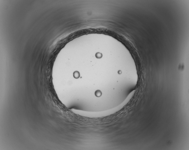 X0000112930920200910051128