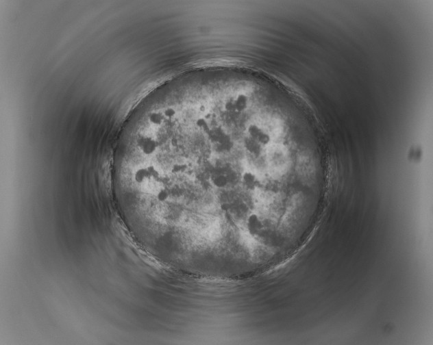 X0000112930921200910051128