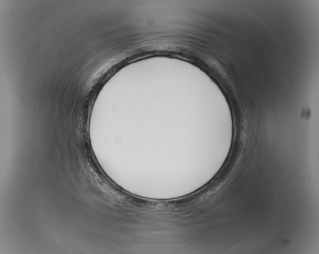 X0000112930922200910051128