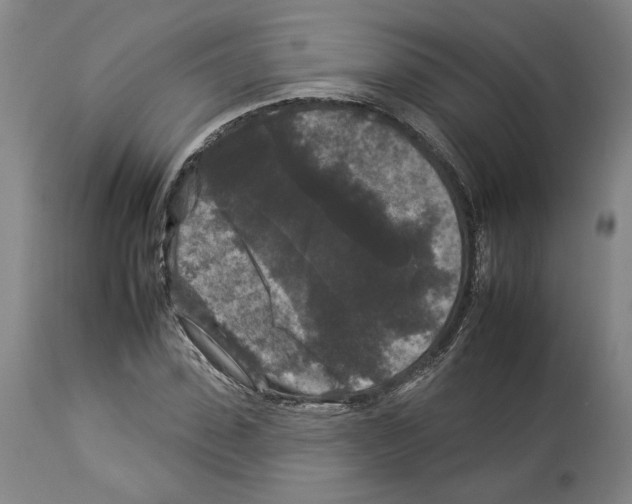 X0000112930923200910051128